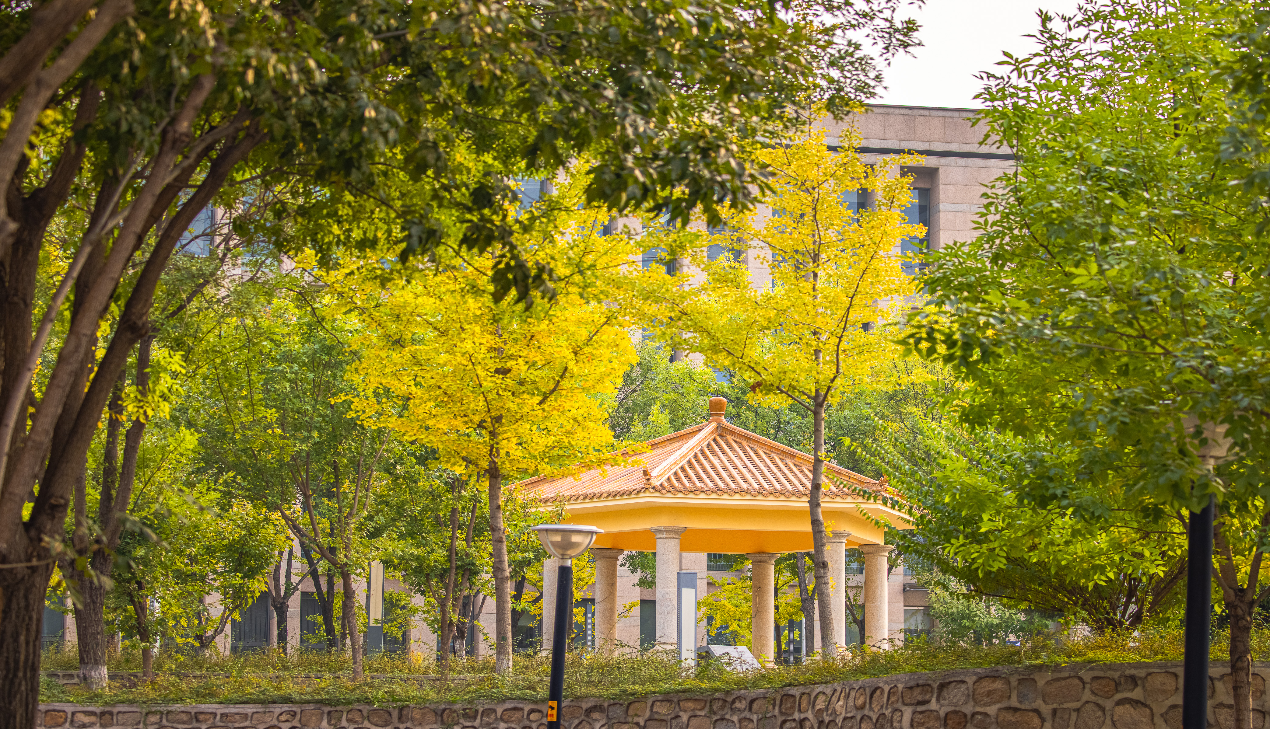 Yanqi Lake Campus